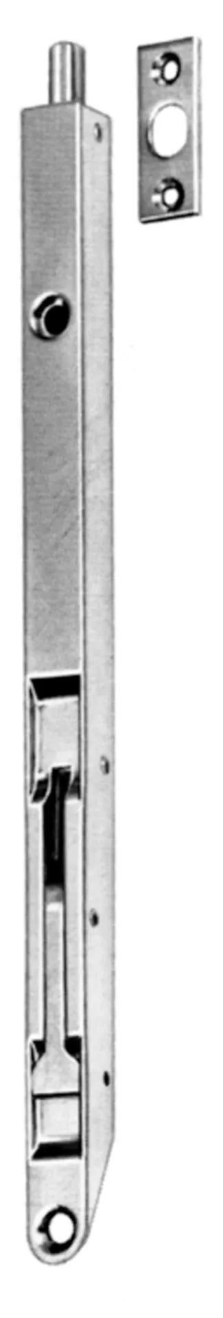 Strenger verrou à entailler inox 431 (15x250 mm, à levier)