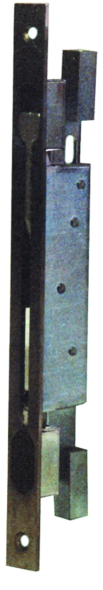Deni centrale kantgrendel (35 mm doorn, inox, voorplaat 285 x 22 x 3 mm)