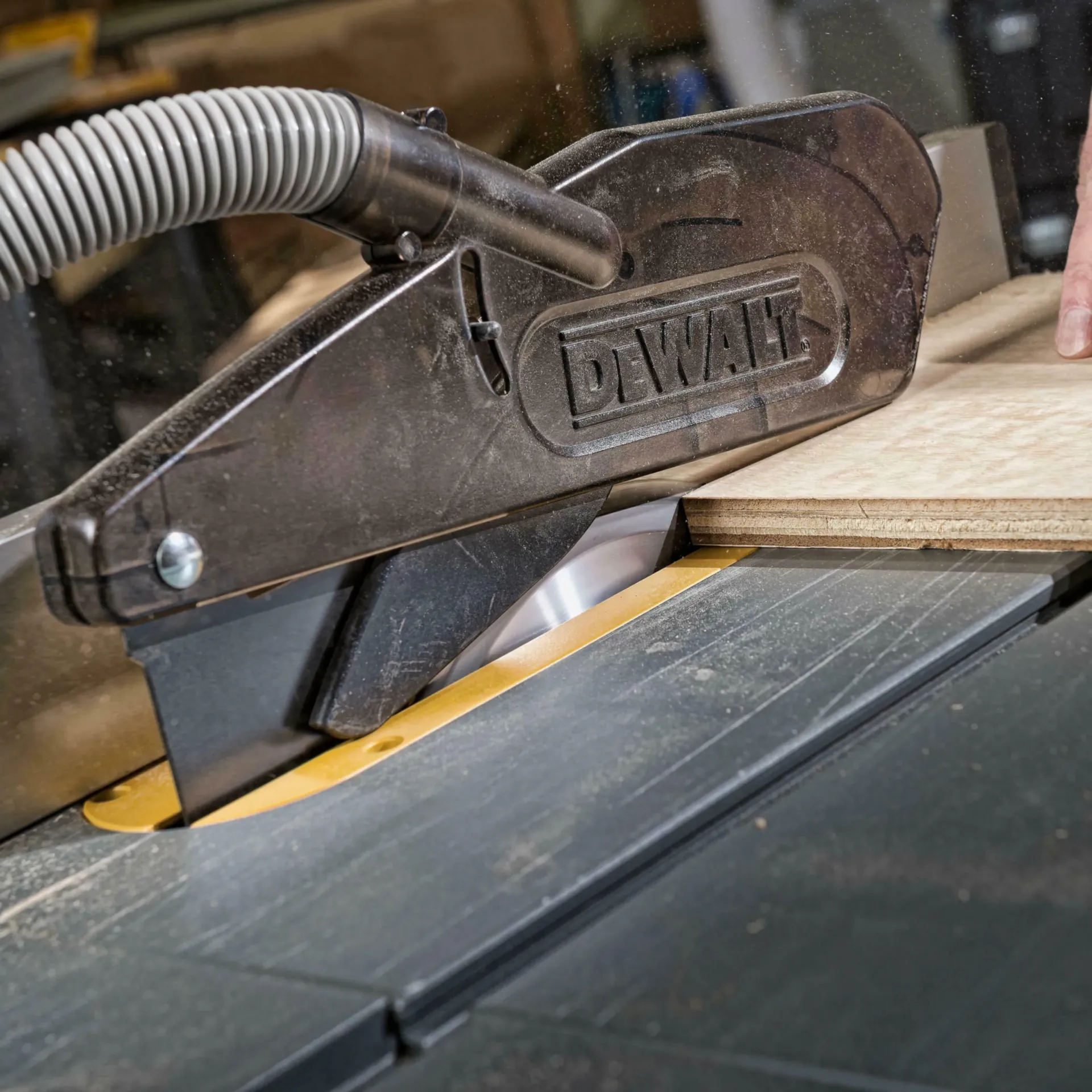 DT4322-QZ Cirkelzaagblad hout Ø 250 x 30 mm 40T DT4322-QZ Cirkelzaagblad hout Ø 250 x 30 mm 40T