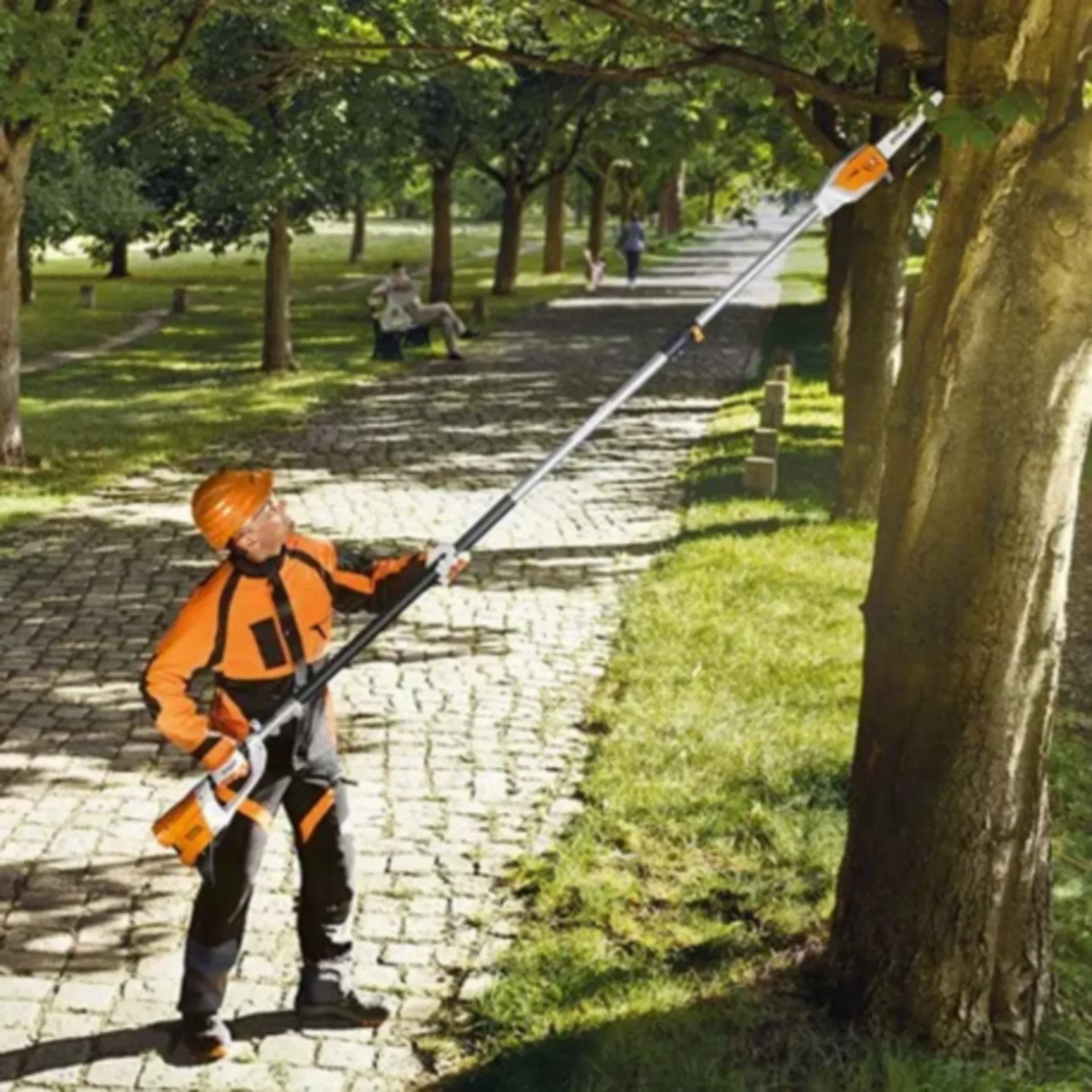Élagueuse sur perche à batterie HTA 66 (30 cm - 12")