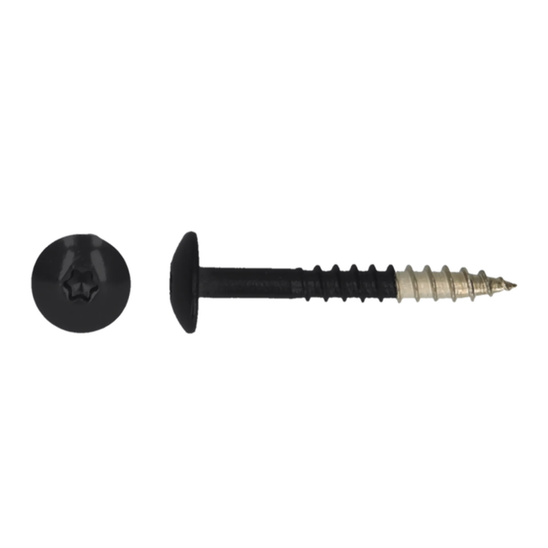 Platbolkopschroef Trespa * 4,8x 38,00 A4 TX20 RAL9005