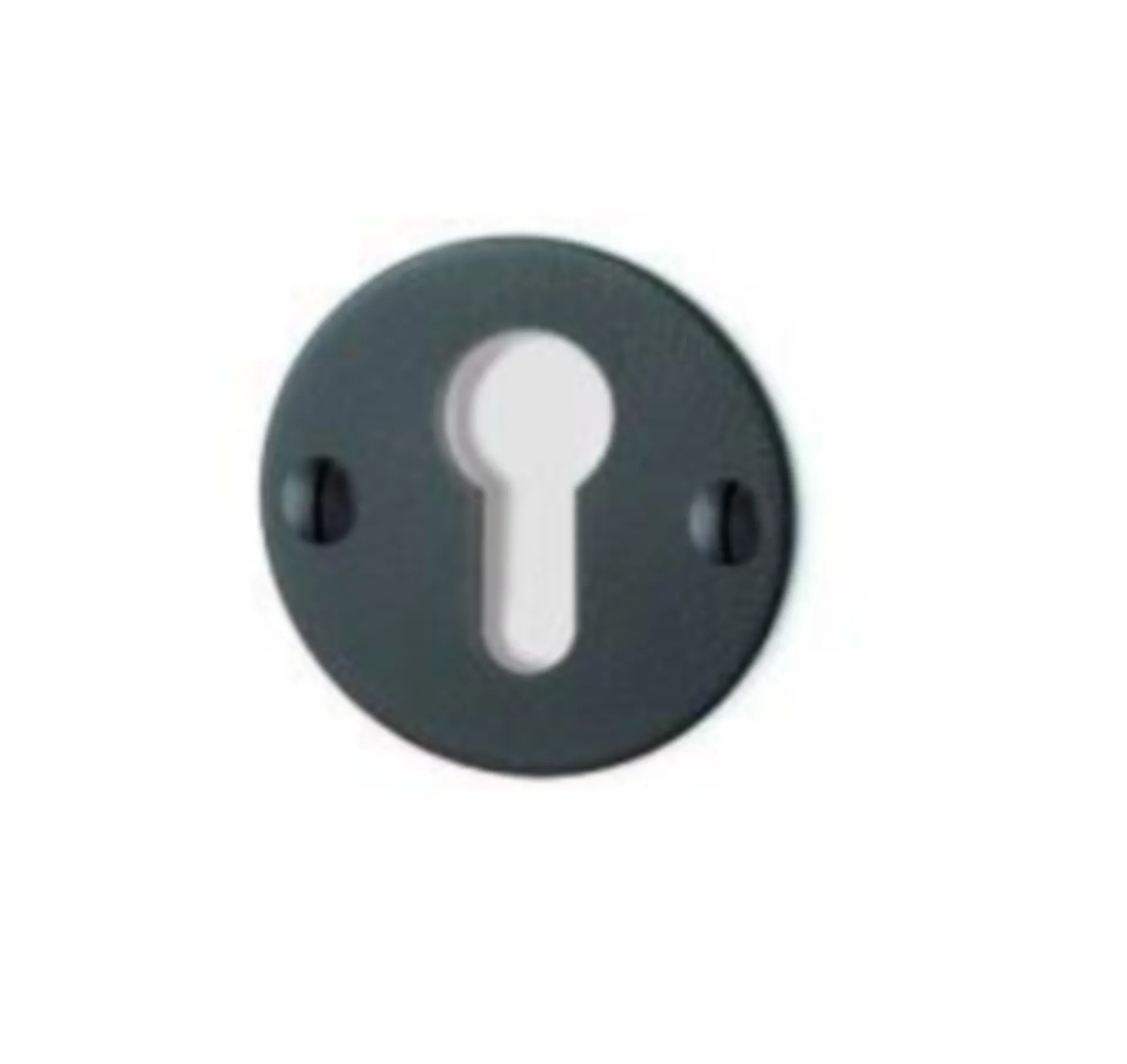 Quincalux 069-0C cilinderrozet (diameter 50 mm, zwart structuur)