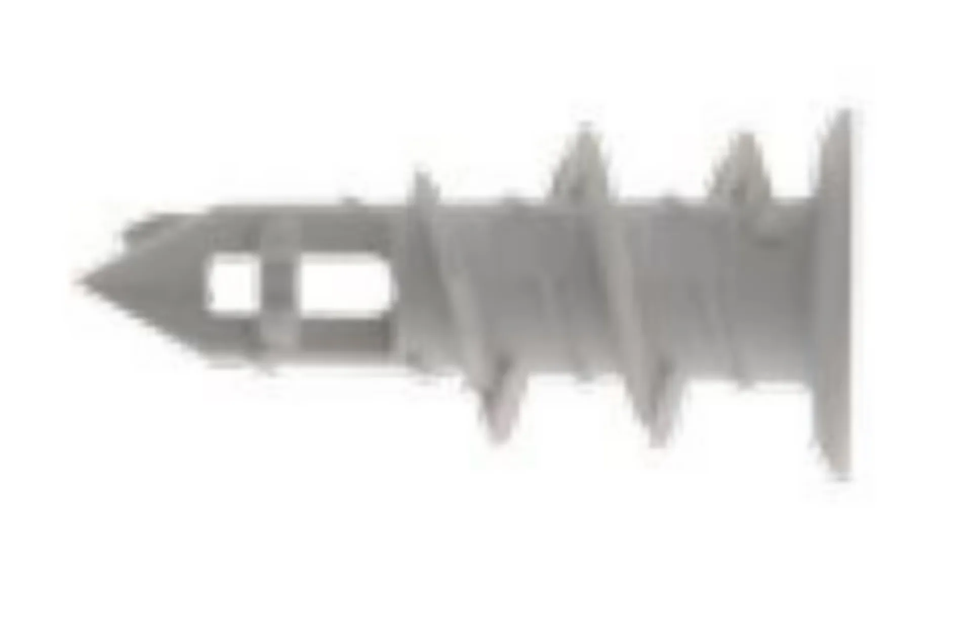 GSV Gyproc plug (kunststof, 30 mm, platte kop)