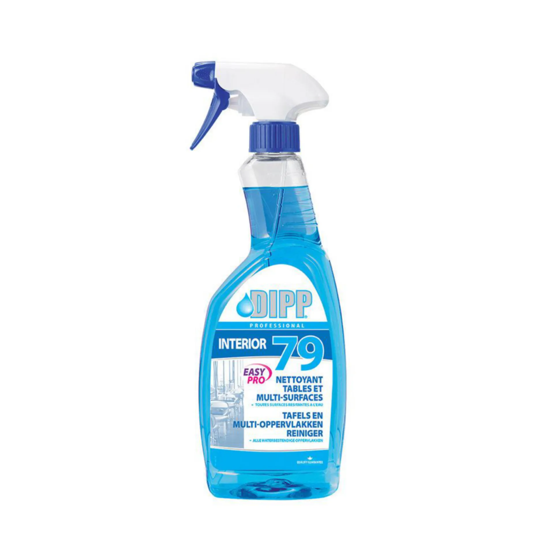 Spray nettoyant multi-surfaces n°79 0,75 l (prêt à l’emploi, HACCP)