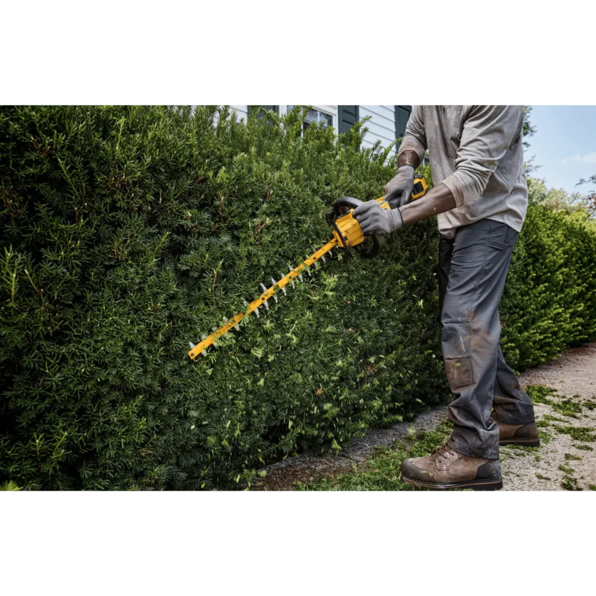 Heggenschaar 54V XR Flexvolt - 65cm 31mm - brushless (zonder accu) - DCMHT573N-XJ Heggenschaar 54V XR Flexvolt - 65cm 31mm - brushless (zonder accu) - DCMHT573N-XJ