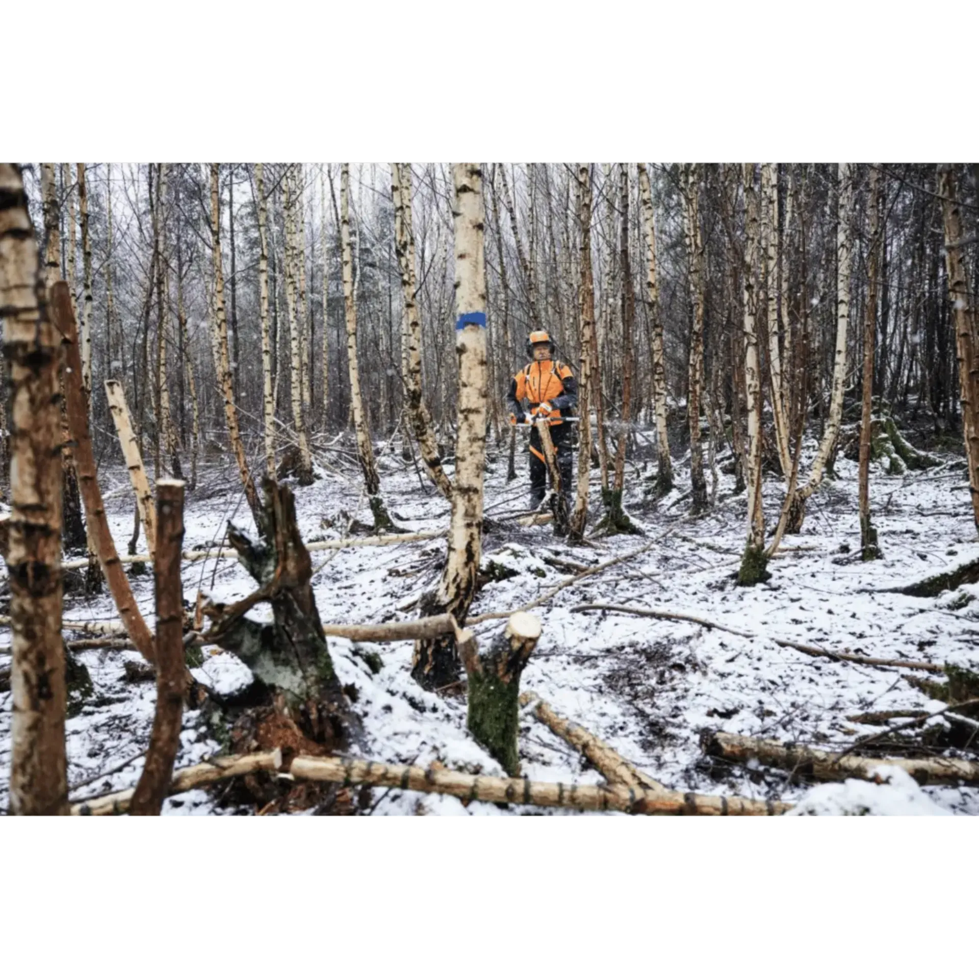 Accuhoogsnoeier HTA 150.0 , 30cm/12", 71PM3 - LA012000021 Accuhoogsnoeier HTA 150.0 , 30cm/12", 71PM3 - LA012000021