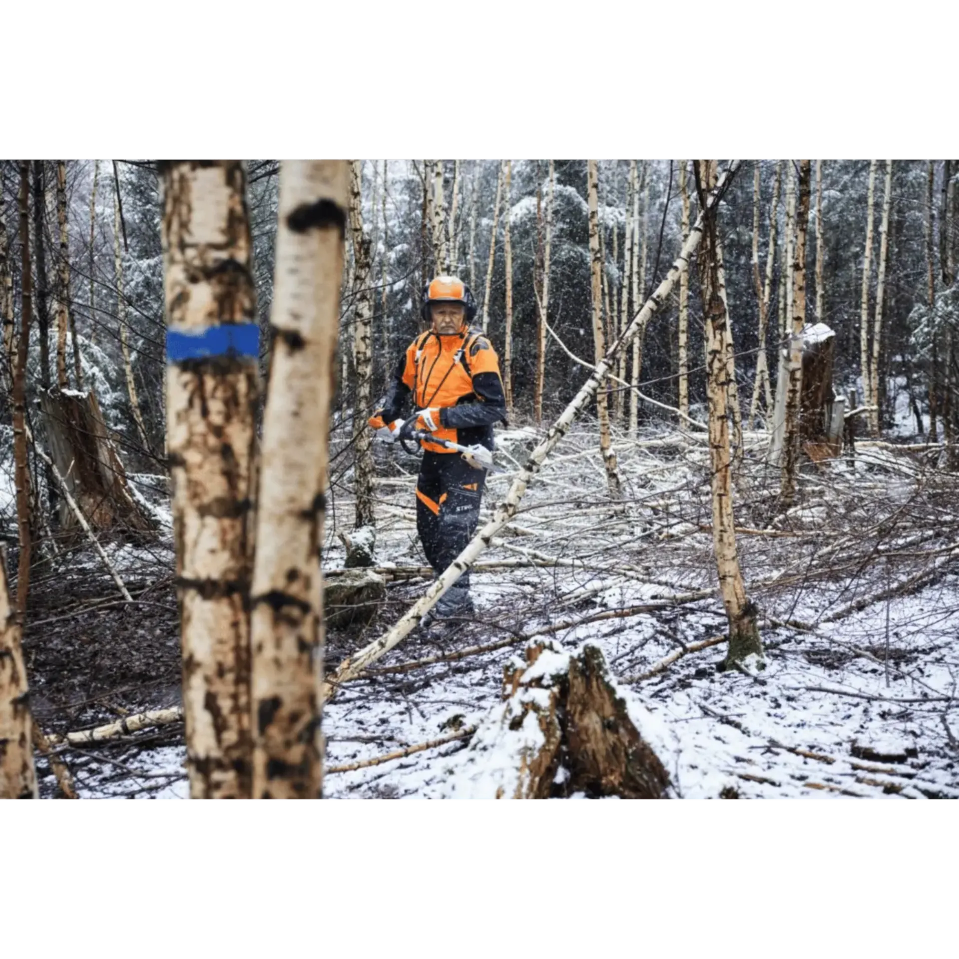 Élagueuse sur perche sans fil HTA 150.0, 30cm/12", 71PM3 - LA012000021 Élagueuse sur perche sans fil HTA 150.0, 30cm/12", 71PM3 - LA012000021