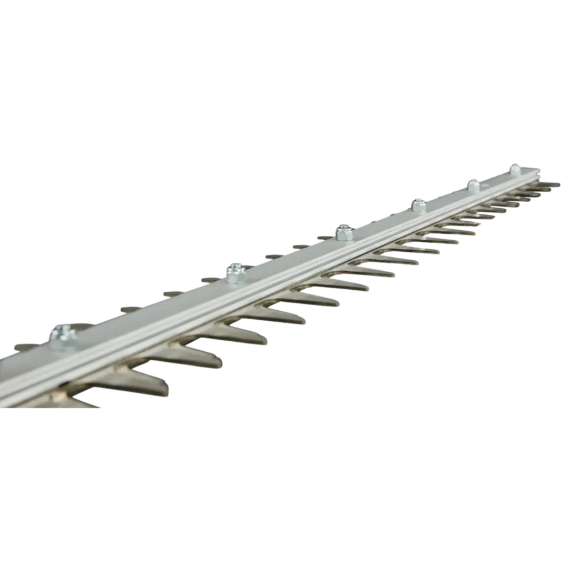 Taille-haie 40 V - 600 mm